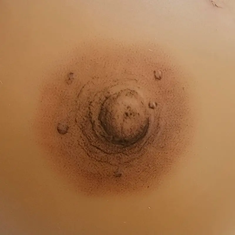 Black Bloom Studio 3D Areola & Nipple Tattoo Before and After Photos