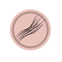 Hair stroke pattern for scalp pigmentation Black Bloom Studio Dallas Texas